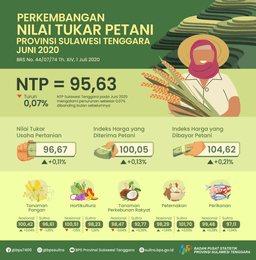 NTP Sulawesi Tenggara Pada Juni 2020 Sebesar 95,63