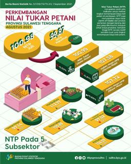 Southeast Sulawesis NTP In August 2021 Is 99.87