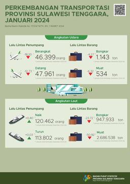 In January 2024, The Number Of Passengers Departing By Air Transportation In Southeast Sulawesi Province Decreased By 18.20 Percent